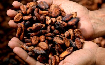 Pillole di cacao: le origini